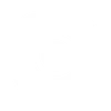 Social Icon