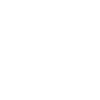 Social Icon